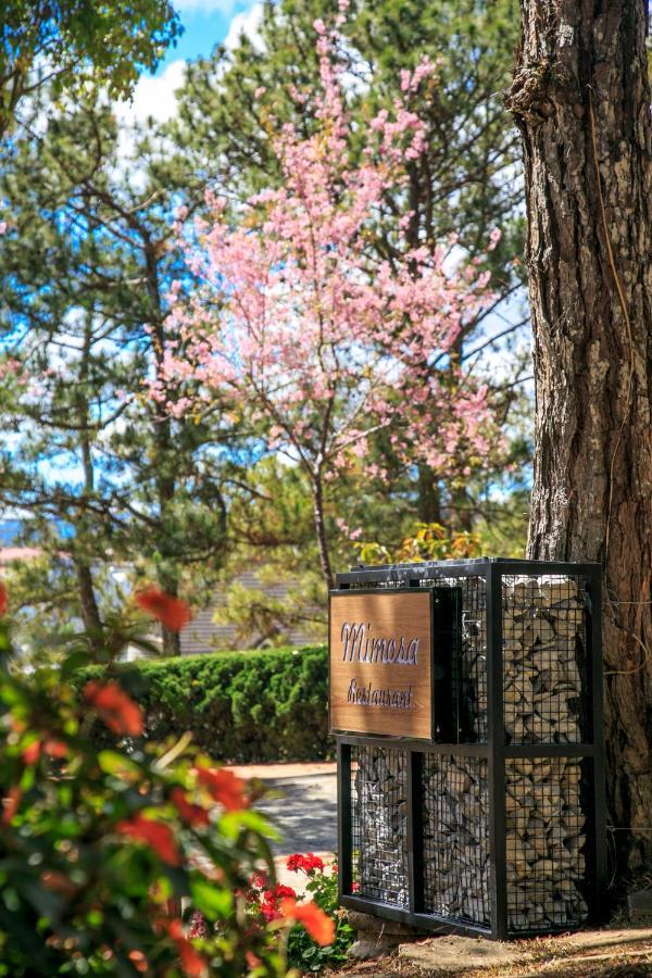 Ttc Dreamy Hill Resort - Unlimited Access To Ttc World - Thung Lung Tinh Yeu Νταλάτ Εξωτερικό φωτογραφία
