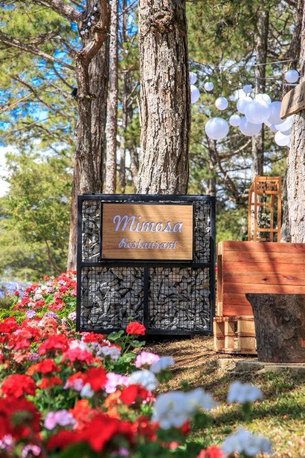 Ttc Dreamy Hill Resort - Unlimited Access To Ttc World - Thung Lung Tinh Yeu Νταλάτ Εξωτερικό φωτογραφία