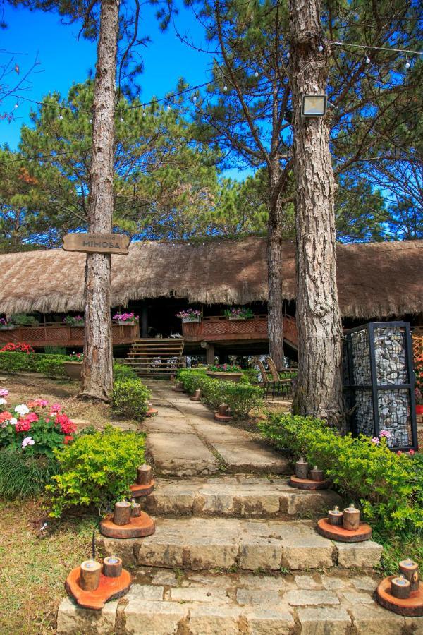 Ttc Dreamy Hill Resort - Unlimited Access To Ttc World - Thung Lung Tinh Yeu Νταλάτ Εξωτερικό φωτογραφία