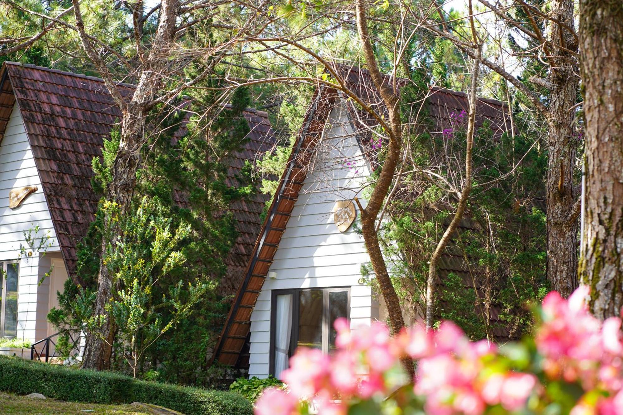 Ttc Dreamy Hill Resort - Unlimited Access To Ttc World - Thung Lung Tinh Yeu Νταλάτ Εξωτερικό φωτογραφία
