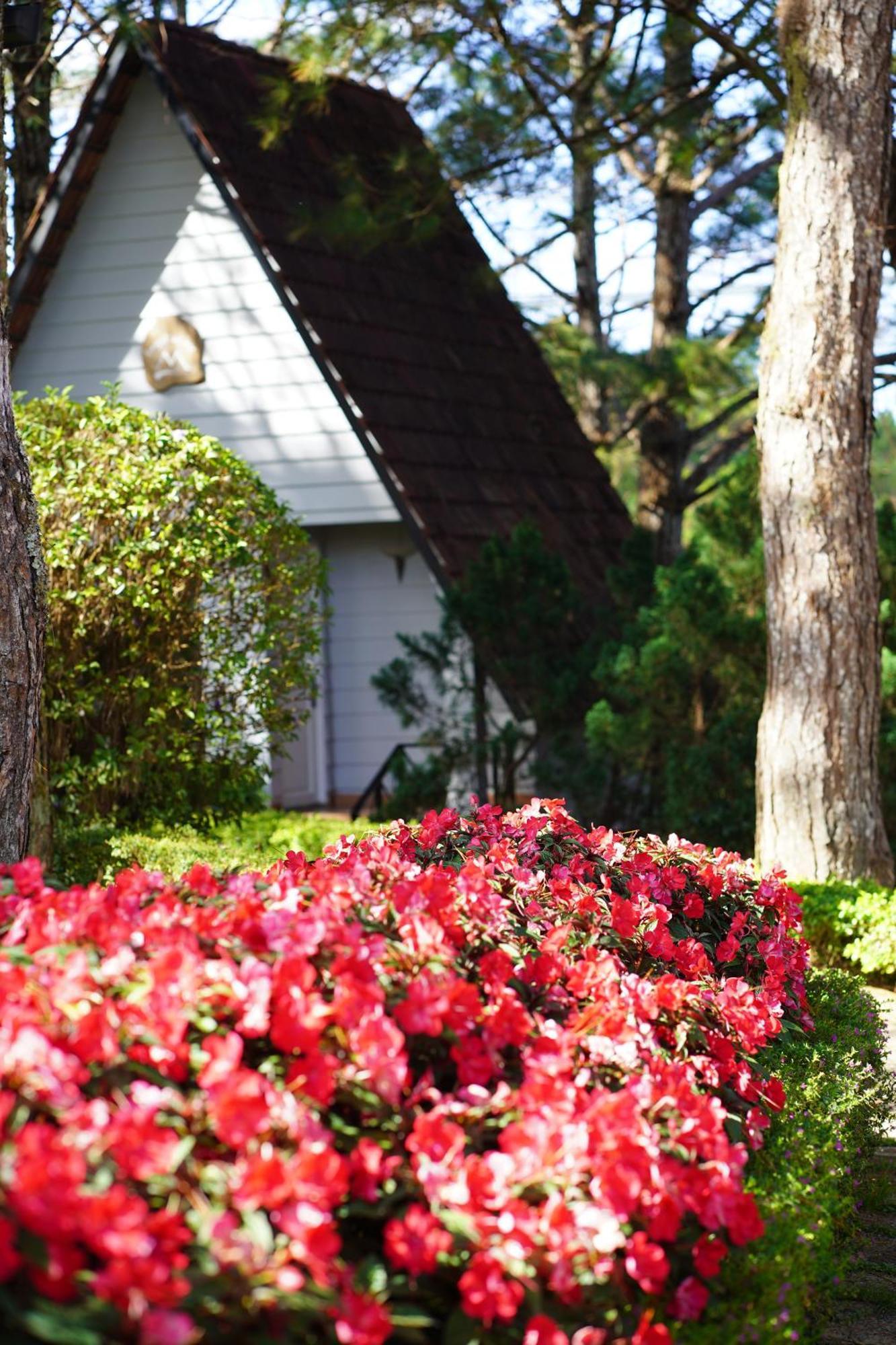 Ttc Dreamy Hill Resort - Unlimited Access To Ttc World - Thung Lung Tinh Yeu Νταλάτ Εξωτερικό φωτογραφία
